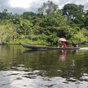 Barquinho