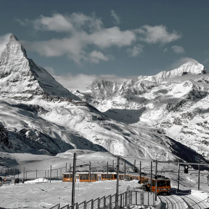 Swiss16