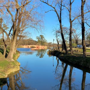 Areco12