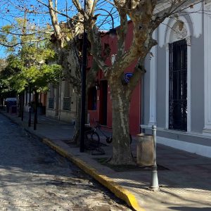 Areco17
