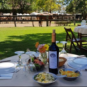 Areco31