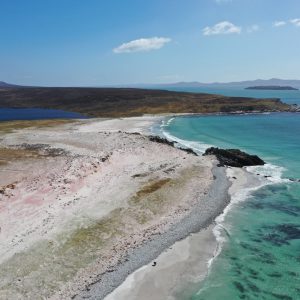 Falklands37