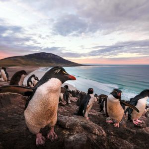 iStock-2246009051