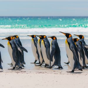 iStock-2253860862