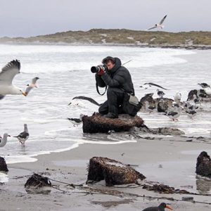 Sea Lion Lodge 4