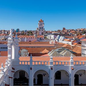 Sucre 26